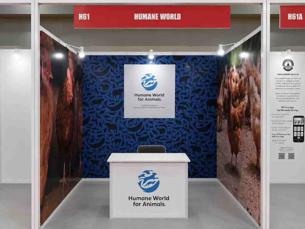 1 side open shell scheme stall design by RDA Vision